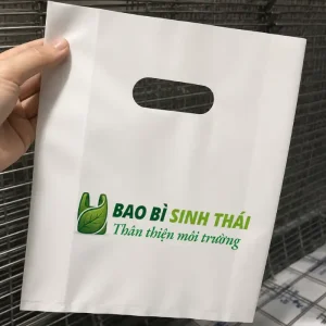 Công ty sản xuất túi ni lông chuyên nghiệp tại Hà Nội