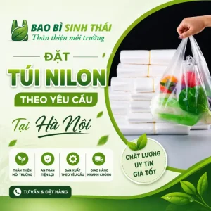 Đặt túi nilon theo yêu cầu tại Hà Nội