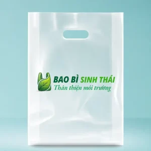In bịch theo yêu cầu tại Hà Nội